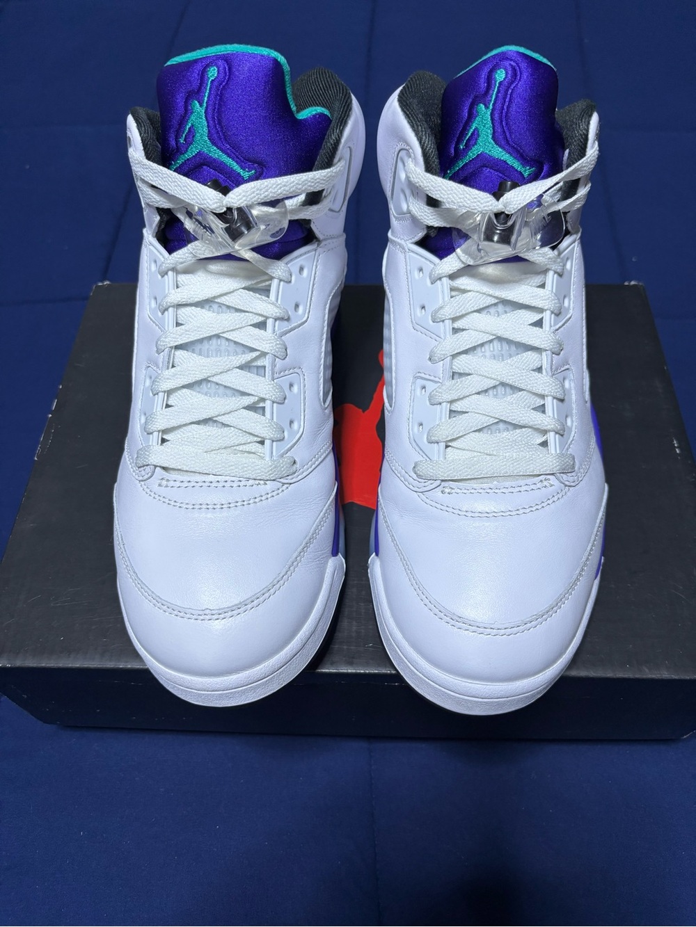 Jordan 5 Retro Grape 2025 Size 10